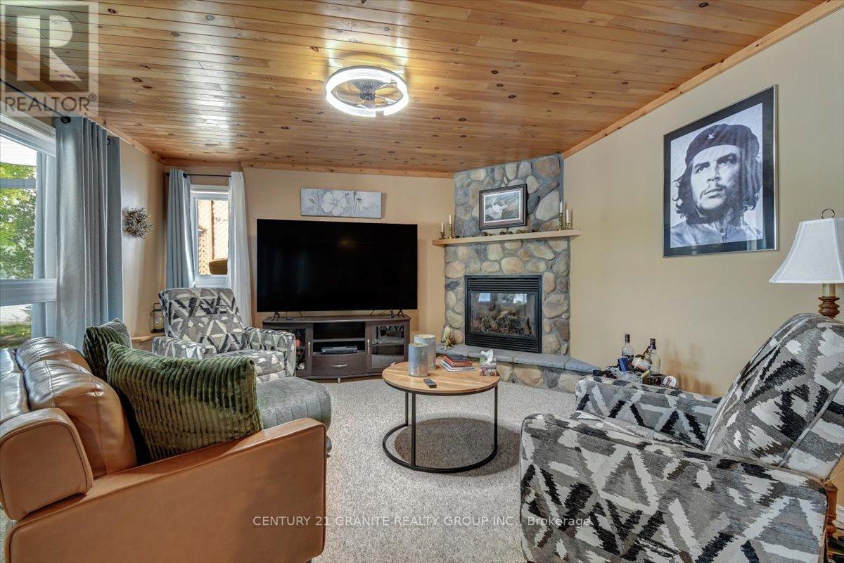 183 Fell Road, Hastings Highlands (Herschel Ward), ON - Indoor Photo Showing Living Room With Fireplace