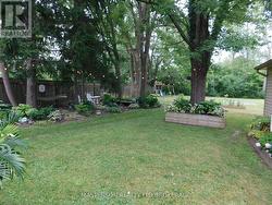 Back yard gardens -