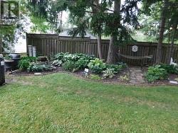 Back yard gardens -