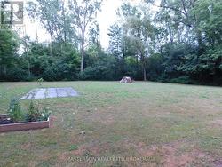 Back yard -
