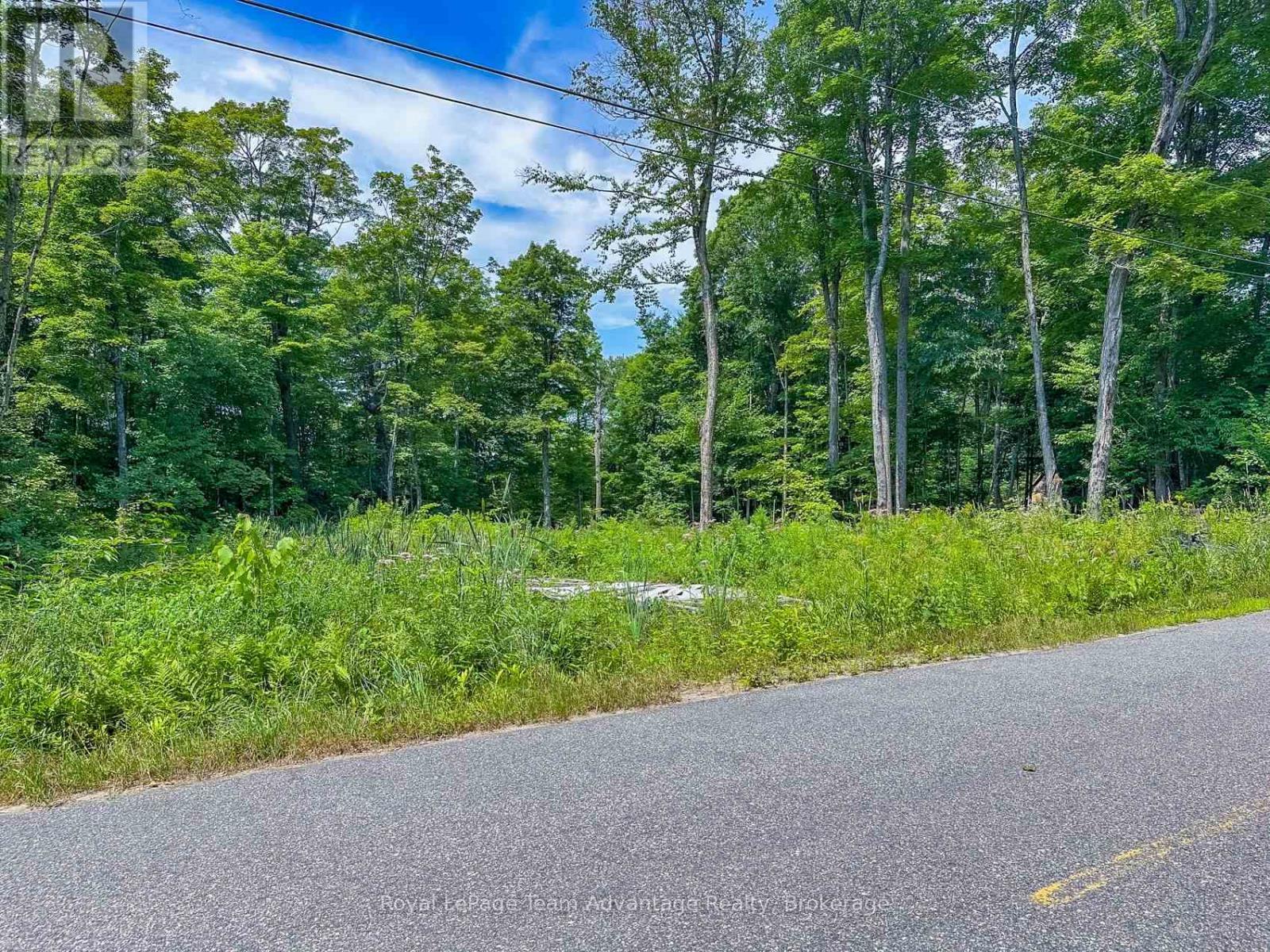 Road - 17 Cornflower Road, Mcdougall, ON