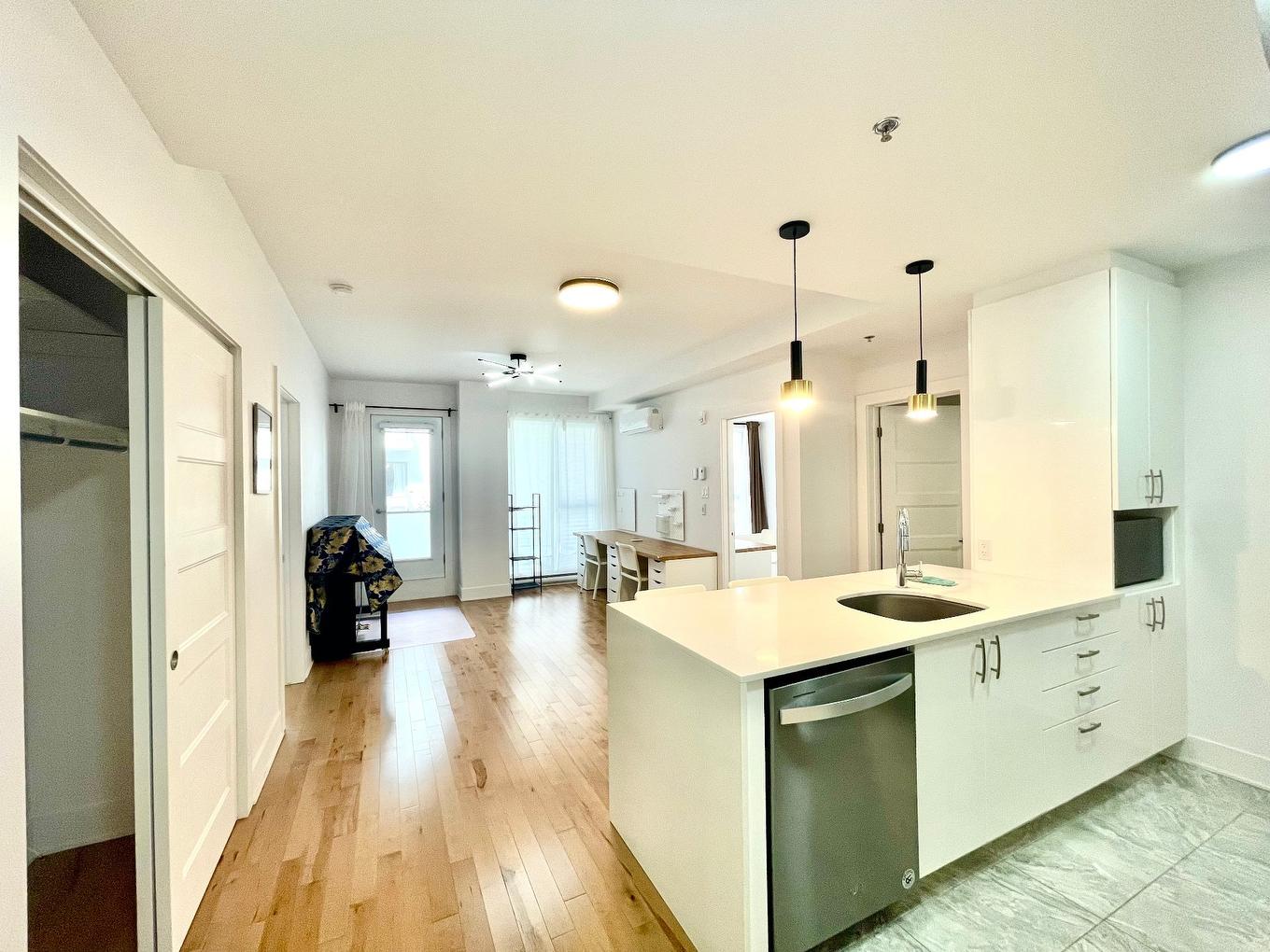 Salon - 211-3950 Rue Sherbrooke E., Montréal (Mercier/Hochelaga-Maisonneuve), QC - Indoor Photo Showing Kitchen With Upgraded Kitchen