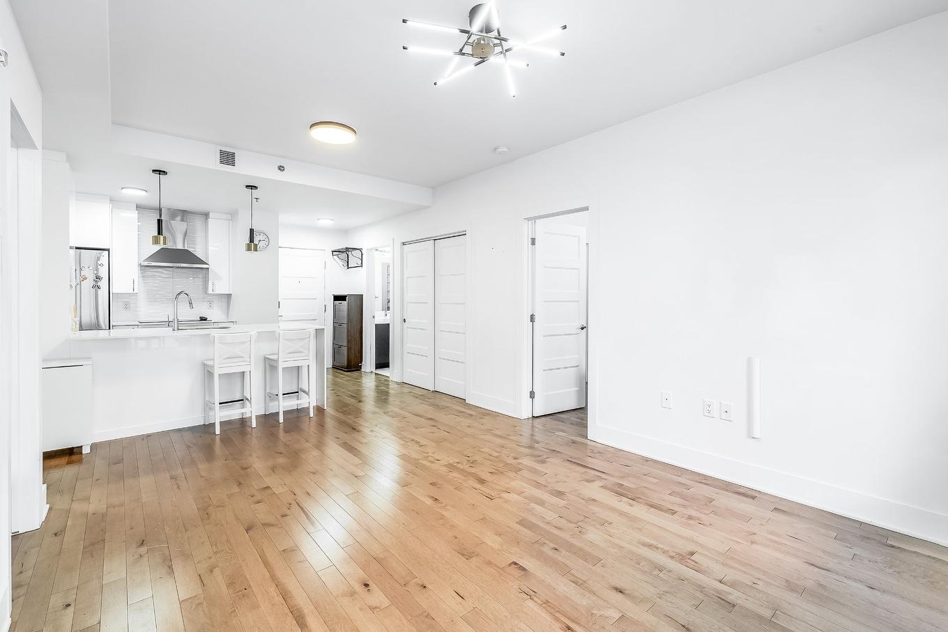 Living room - 211-3950 Rue Sherbrooke E., Montréal (Mercier/Hochelaga-Maisonneuve), QC - Indoor Photo Showing Other Room