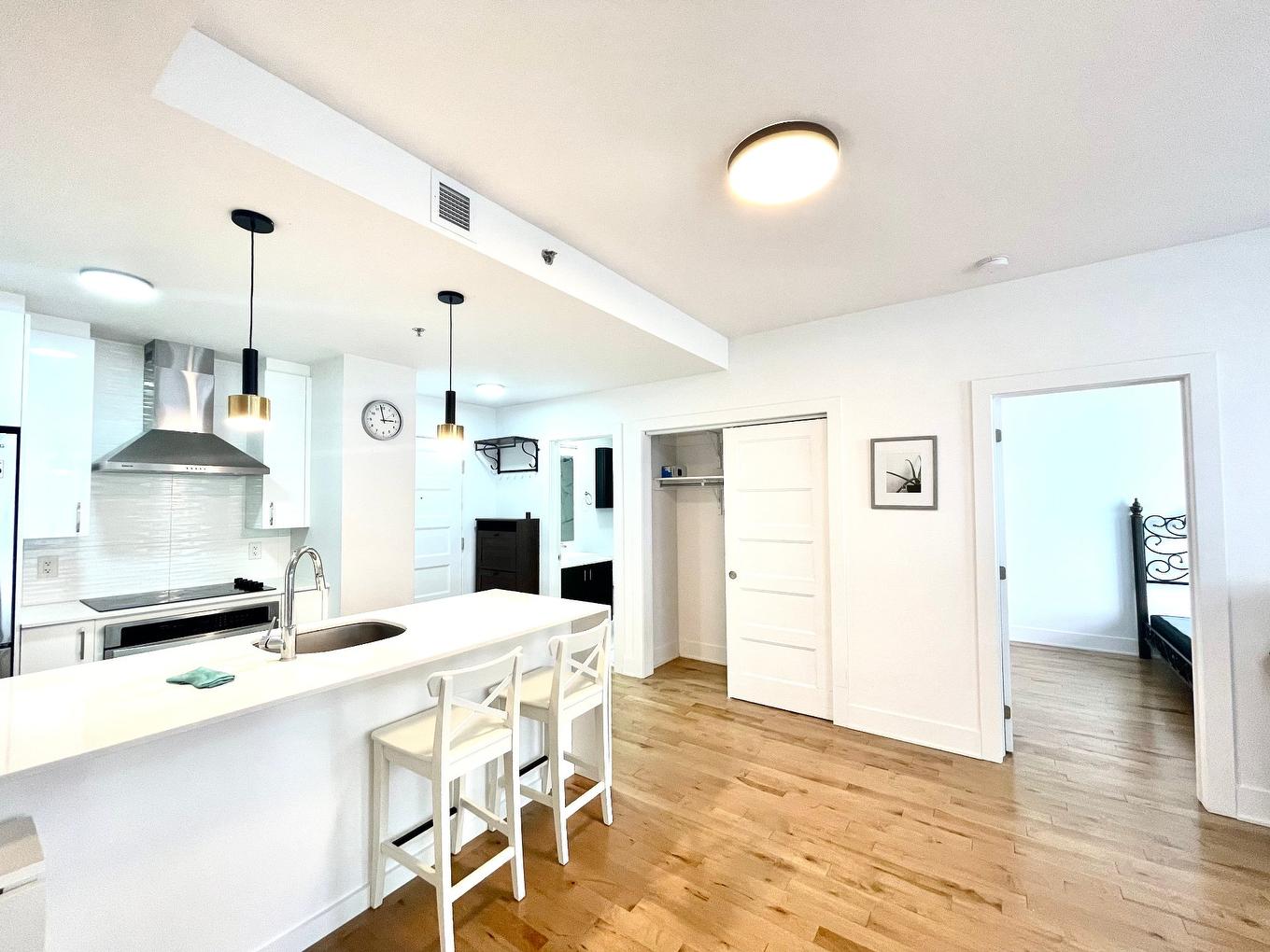 Cuisine - 211-3950 Rue Sherbrooke E., Montréal (Mercier/Hochelaga-Maisonneuve), QC - Indoor Photo Showing Kitchen With Upgraded Kitchen