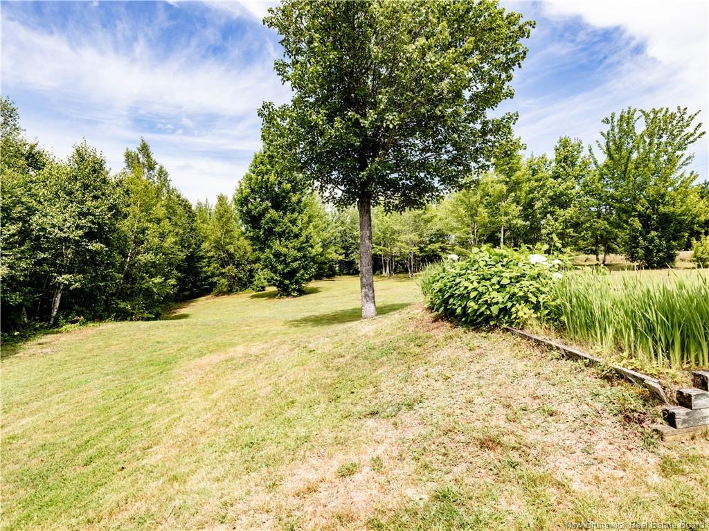 1390 Tweedie Brook Rd, Kouchibouguac, NB