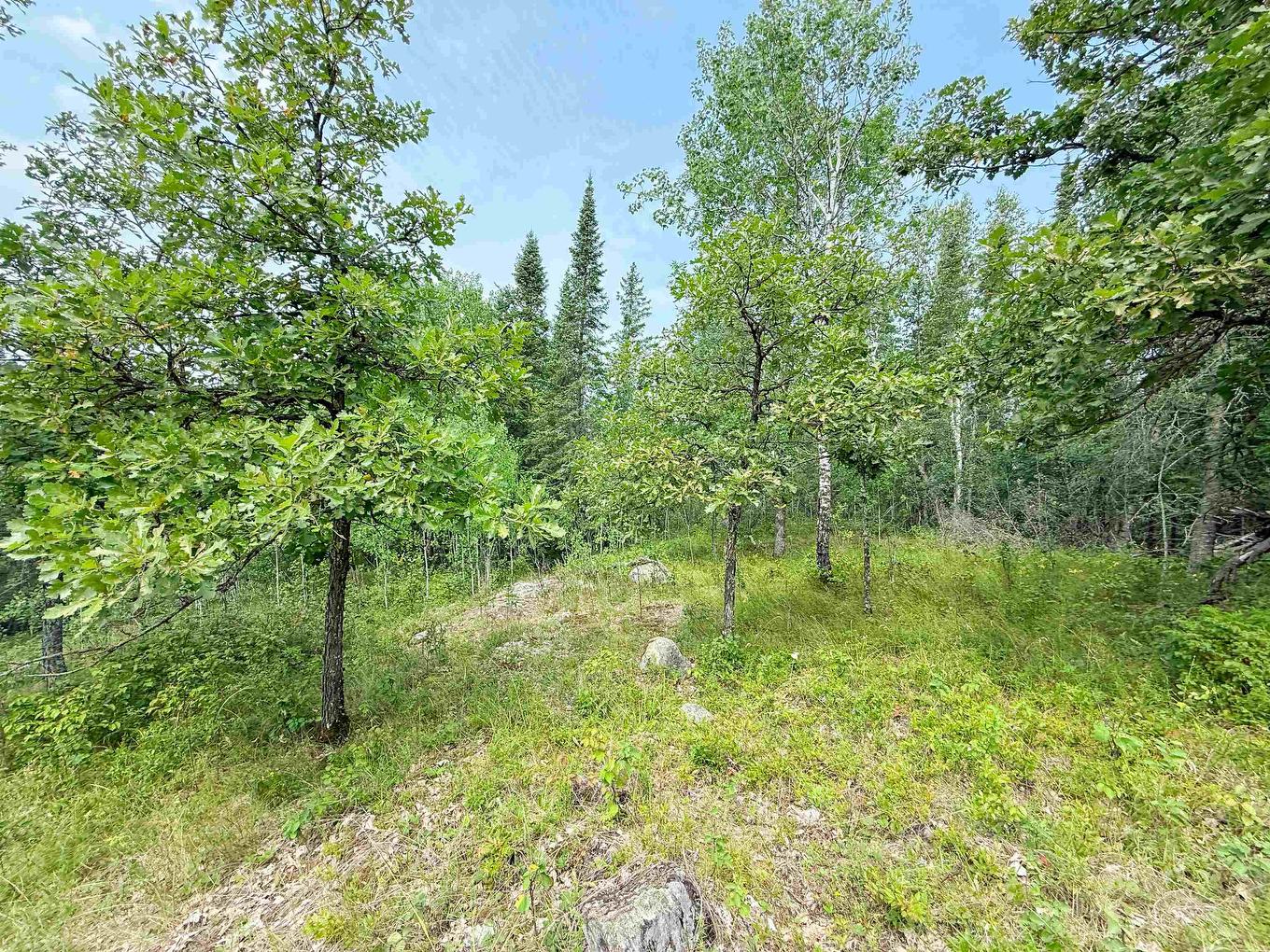 496 Coney Island, Kenora, ON