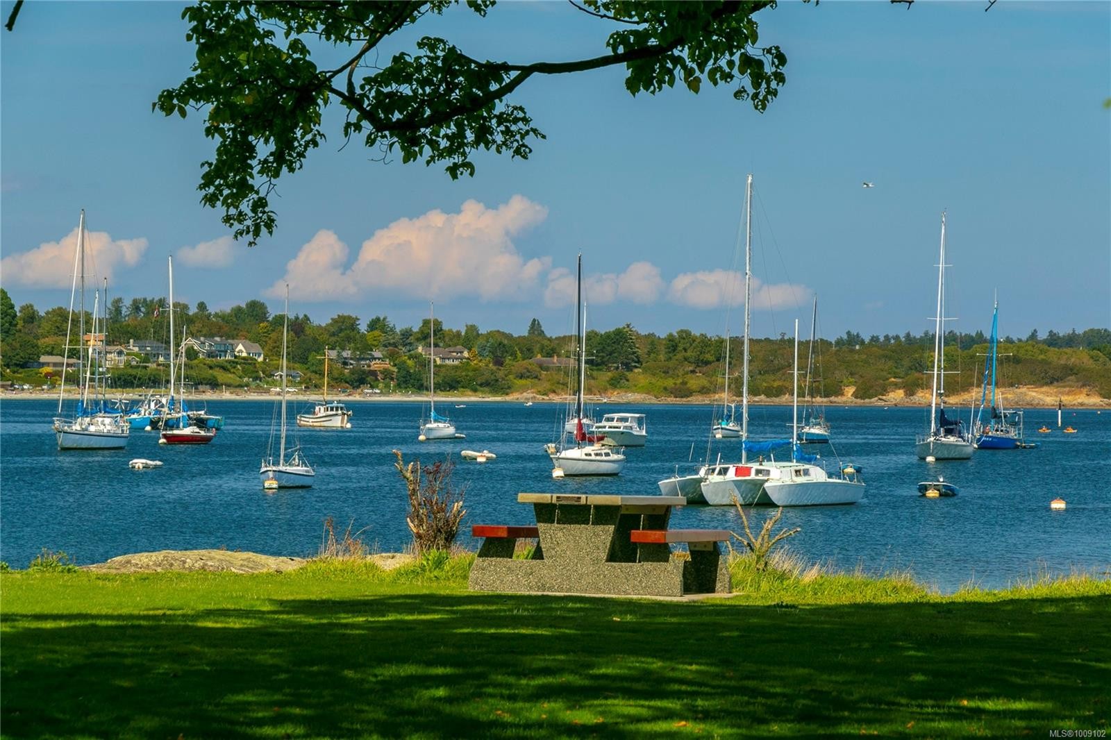 821 Newport Ave, Oak Bay, BC