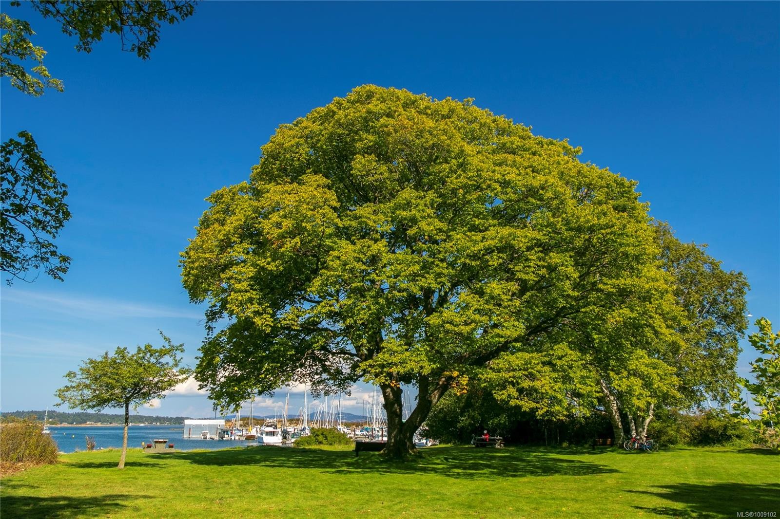 821 Newport Ave, Oak Bay, BC