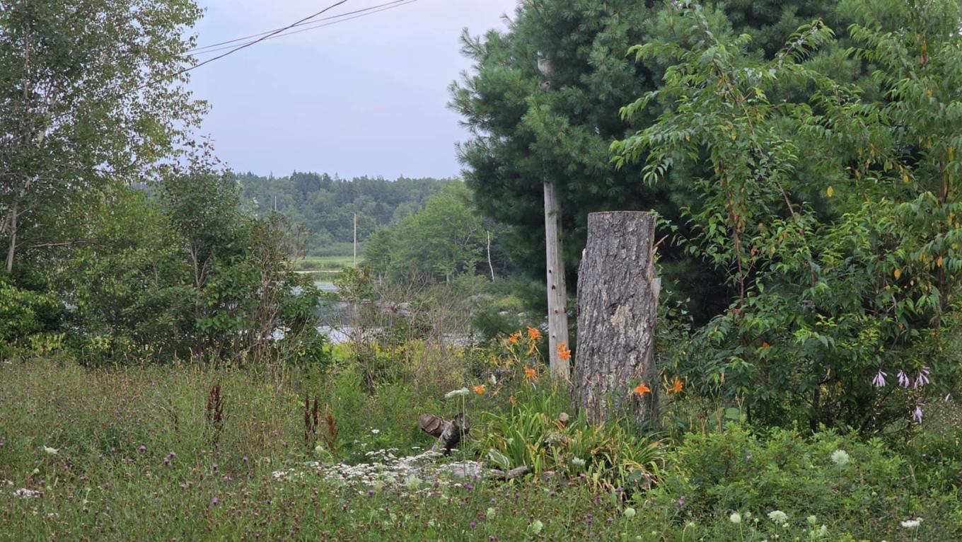 5755 West Dalhousie Road, West Dalhousie, NS