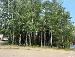 988 Thompson CRESCENT La Ronge, SK S0J 1L0