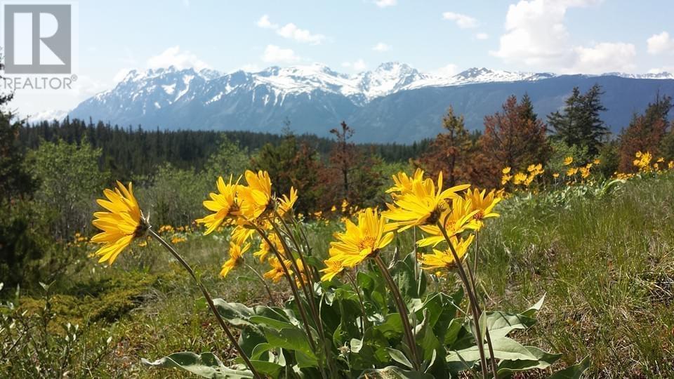 6775 Tatlayoko Road, Williams Lake, BC