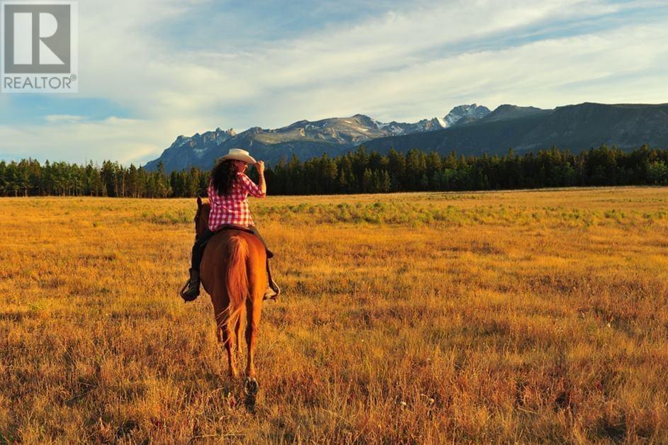 6775 Tatlayoko Road, Williams Lake, BC