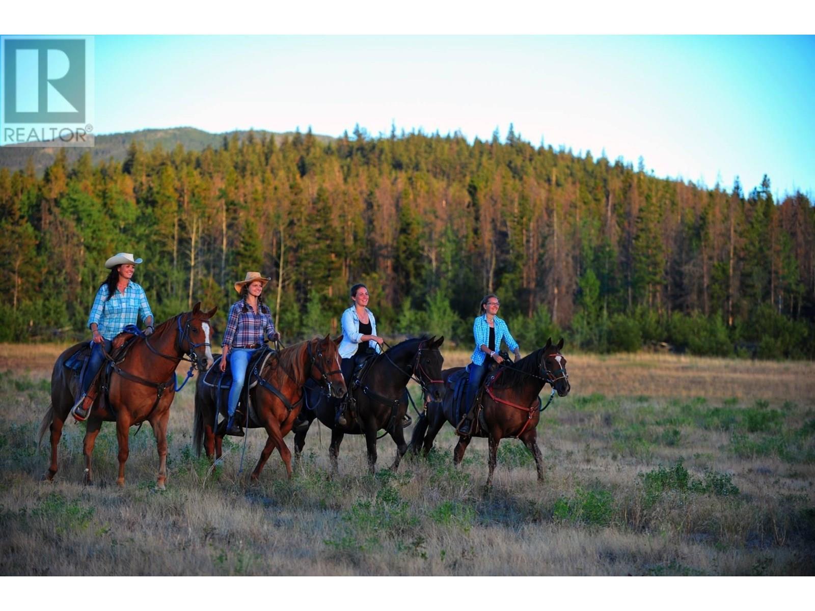 6775 Tatlayoko Road, Williams Lake, BC