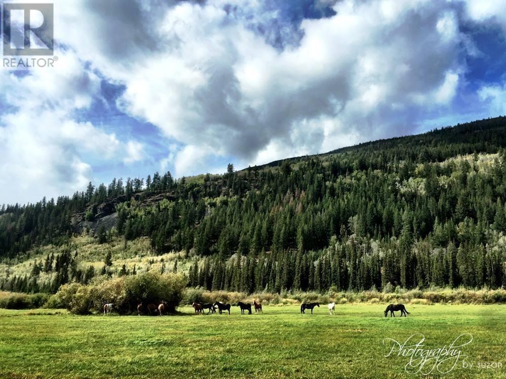 6775 Tatlayoko Road, Williams Lake, BC