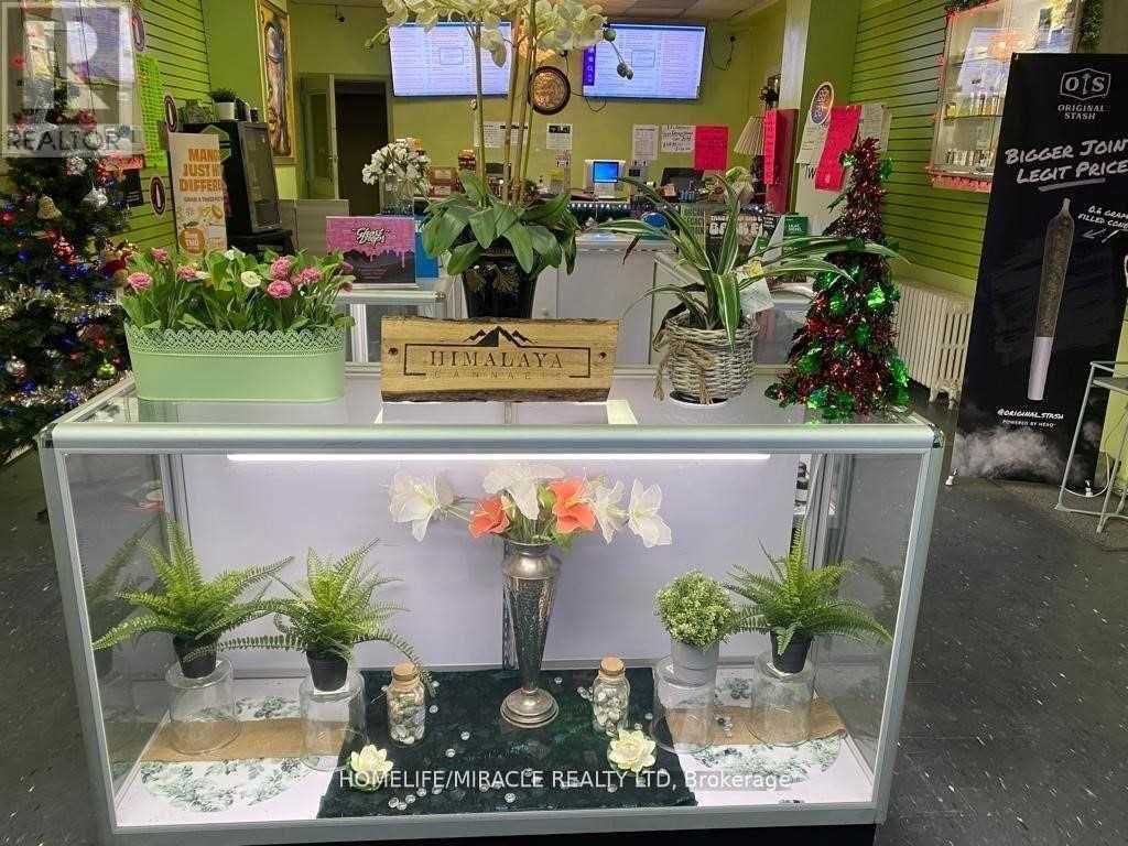 871 Dundas Street, Toronto, ON