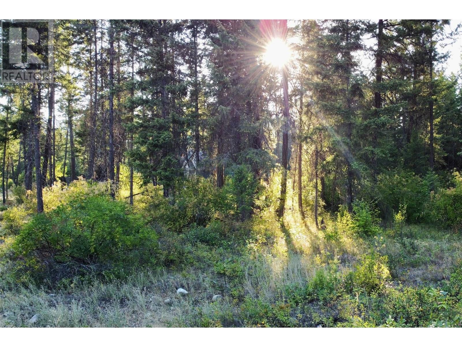 Lot 2 Caitlin Road - Caitlin Road Lot# 2, Christina Lake, BC