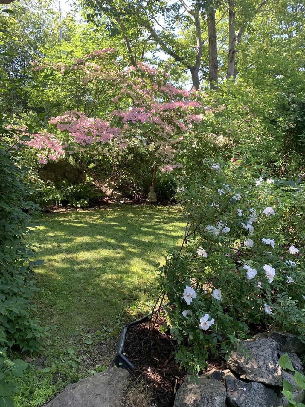 24 Hamshaw Drive, Halifax, NS