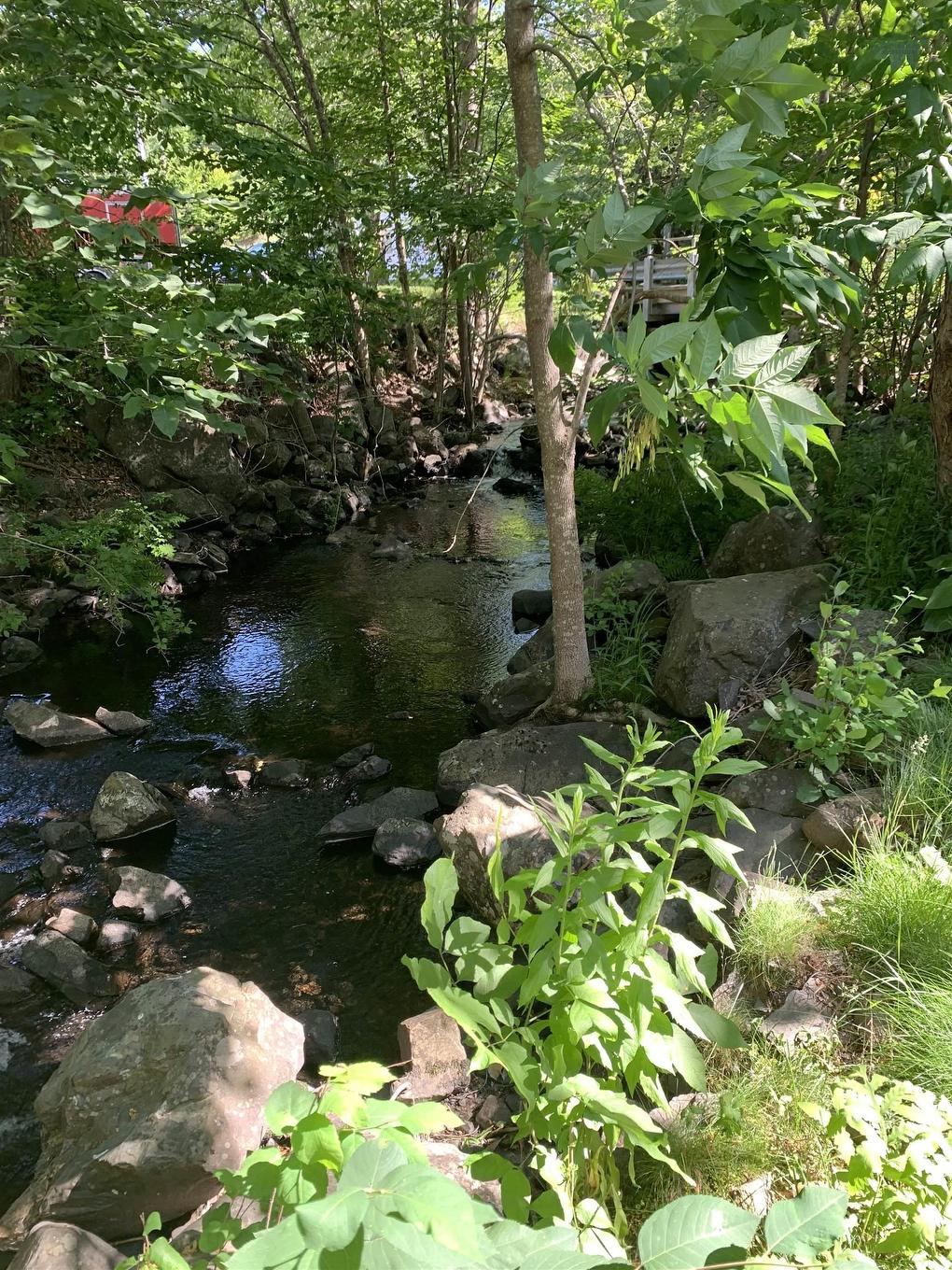 24 Hamshaw Drive, Halifax, NS