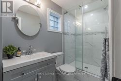 Lower Level Bathroom -
