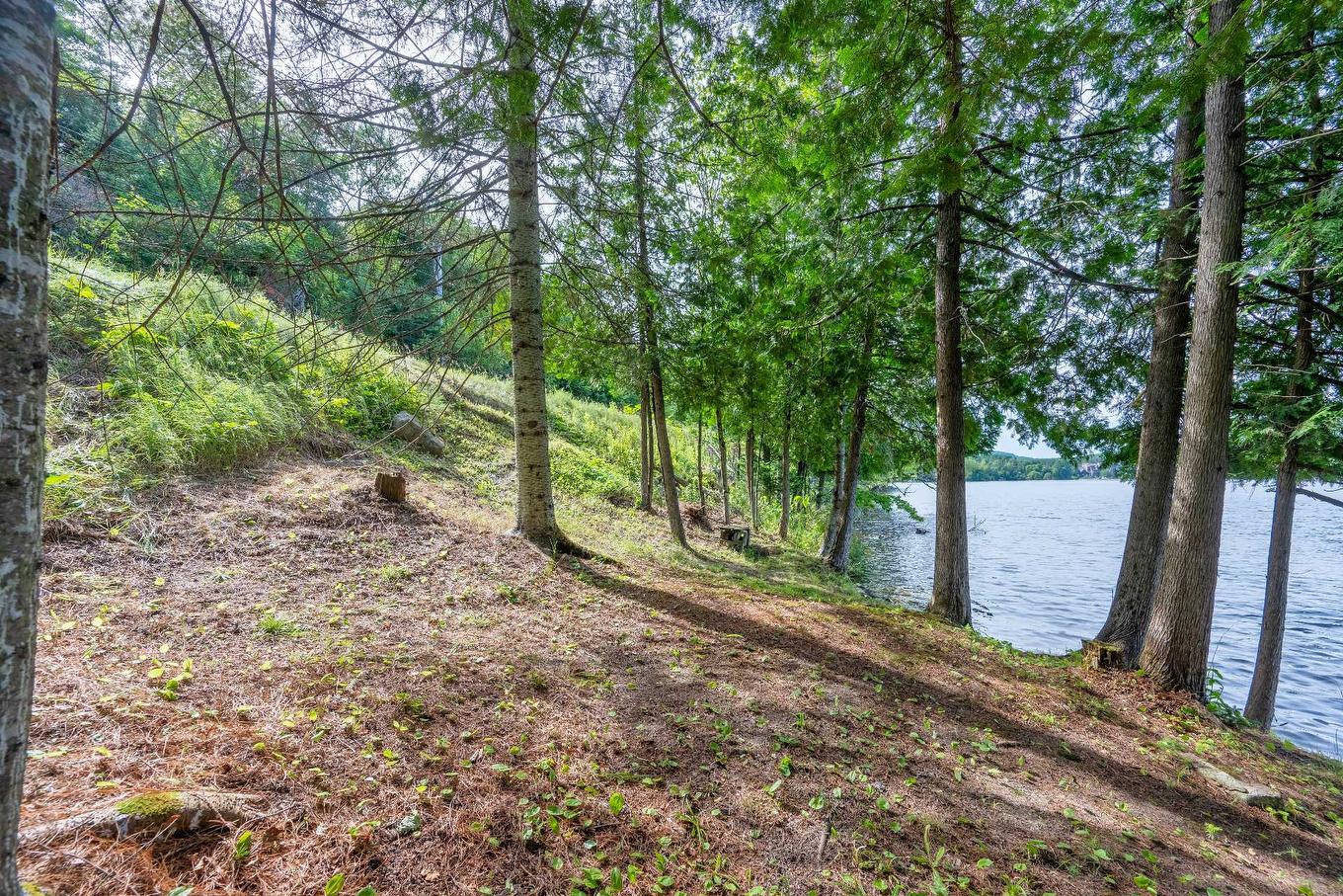 Waterfront - 2335 Rue Labelle, Mont-Tremblant, QC - Outdoor With Body Of Water With View