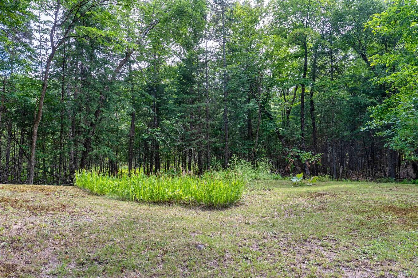 Land/Lot - 2335 Rue Labelle, Mont-Tremblant, QC - Outdoor