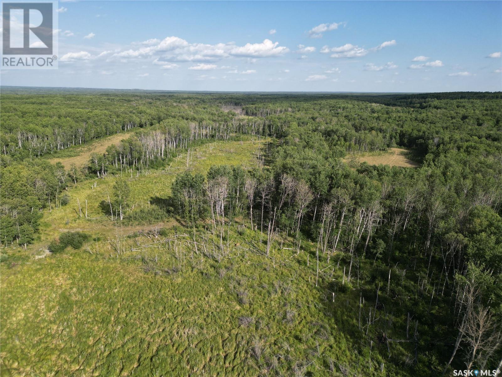 Cross-Half Section Of Pasture/Recreational Land, Spiritwood Rm No. 496, SK