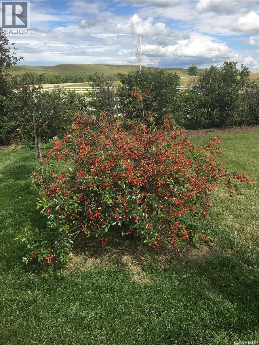 Cadrain Acres, Swift Current Rm No. 137, SK - Outdoor With View