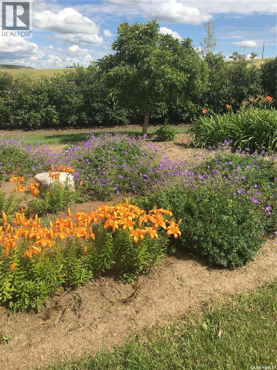 Cadrain Acres, Swift Current Rm No. 137, SK - Outdoor With View