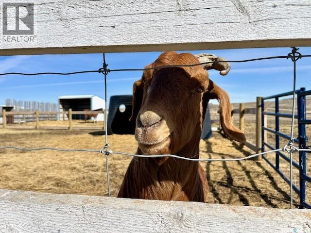 Cadrain Acres, Swift Current Rm No. 137, SK - Outdoor