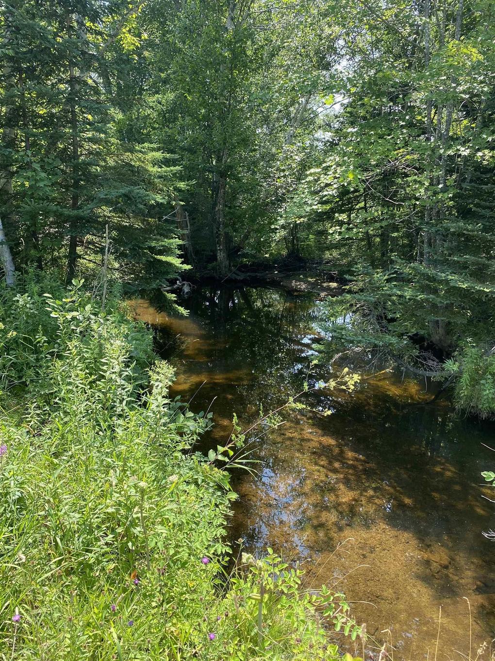 0 Grand Mira North Road, Marion Bridge, NS