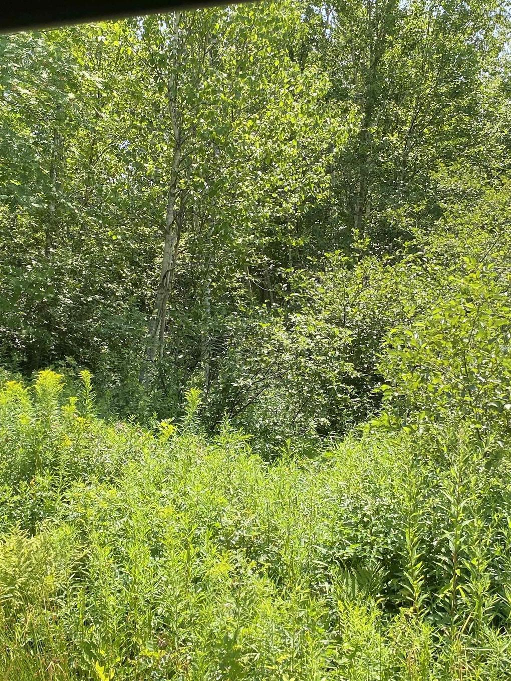 0 Grand Mira North Road, Marion Bridge, NS