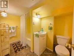 Lower Level 4 piece Bathroom -