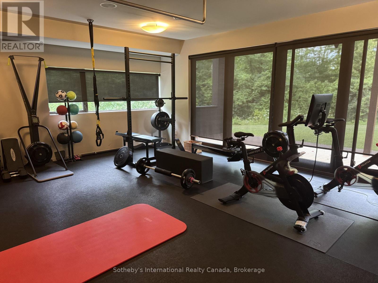 46479 Old Mail Road W, Meaford, ON - Indoor Photo Showing Gym Room