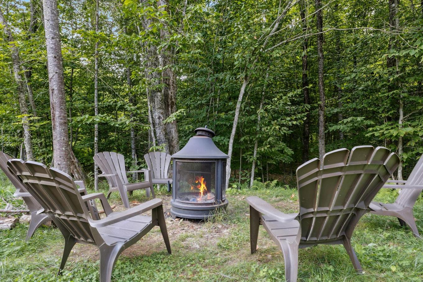 Backyard - 304 - 15 Imp. Du Cardinal, Lac-Supérieur, QC - Outdoor