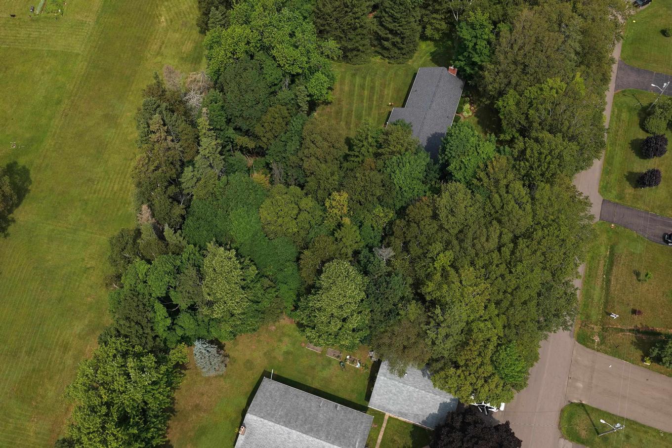 24-1 Birchwood Heights, Summerside, PE