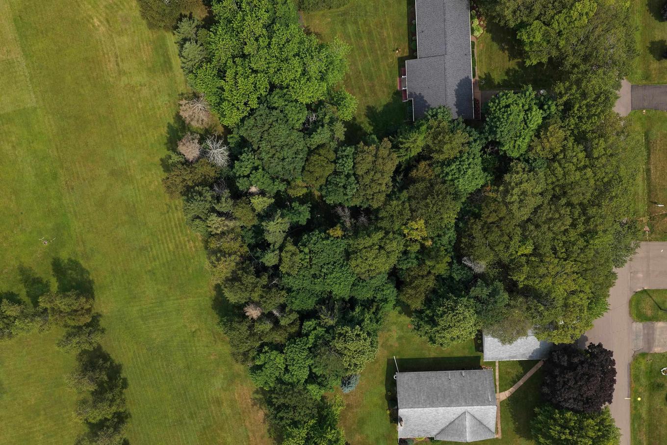 24-1 Birchwood Heights, Summerside, PE