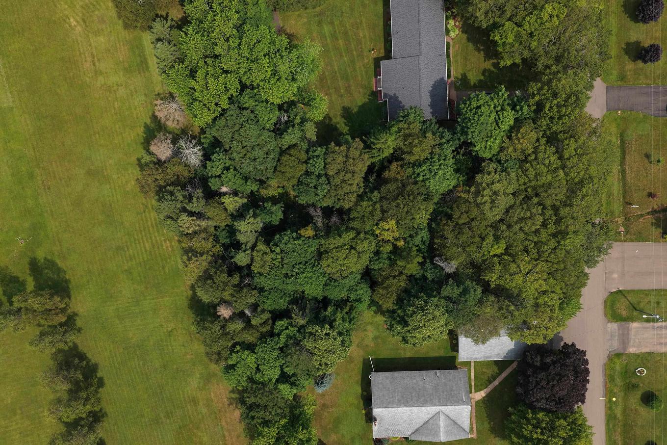 24-1 Birchwood Heights, Summerside, PE