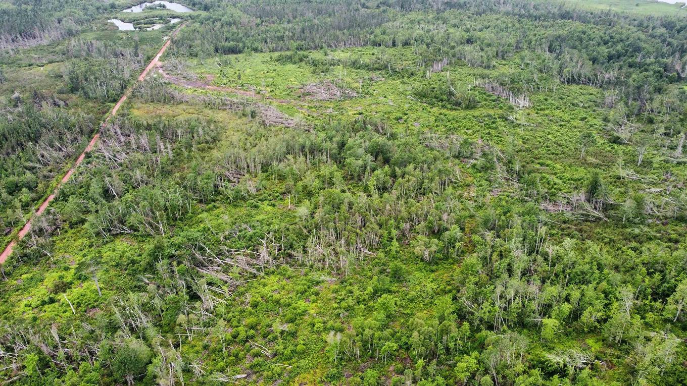 Patucket Road, Tarantum, PE