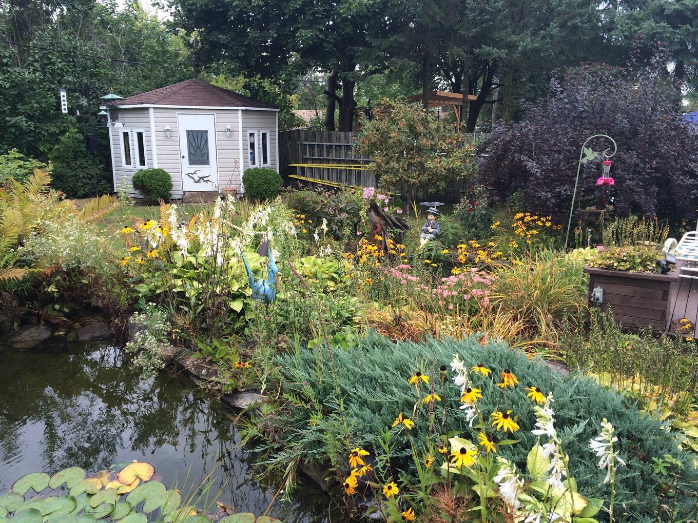 Cour - 4584 Rue Hilltop, Montréal (Pierrefonds-Roxboro), QC - Outdoor