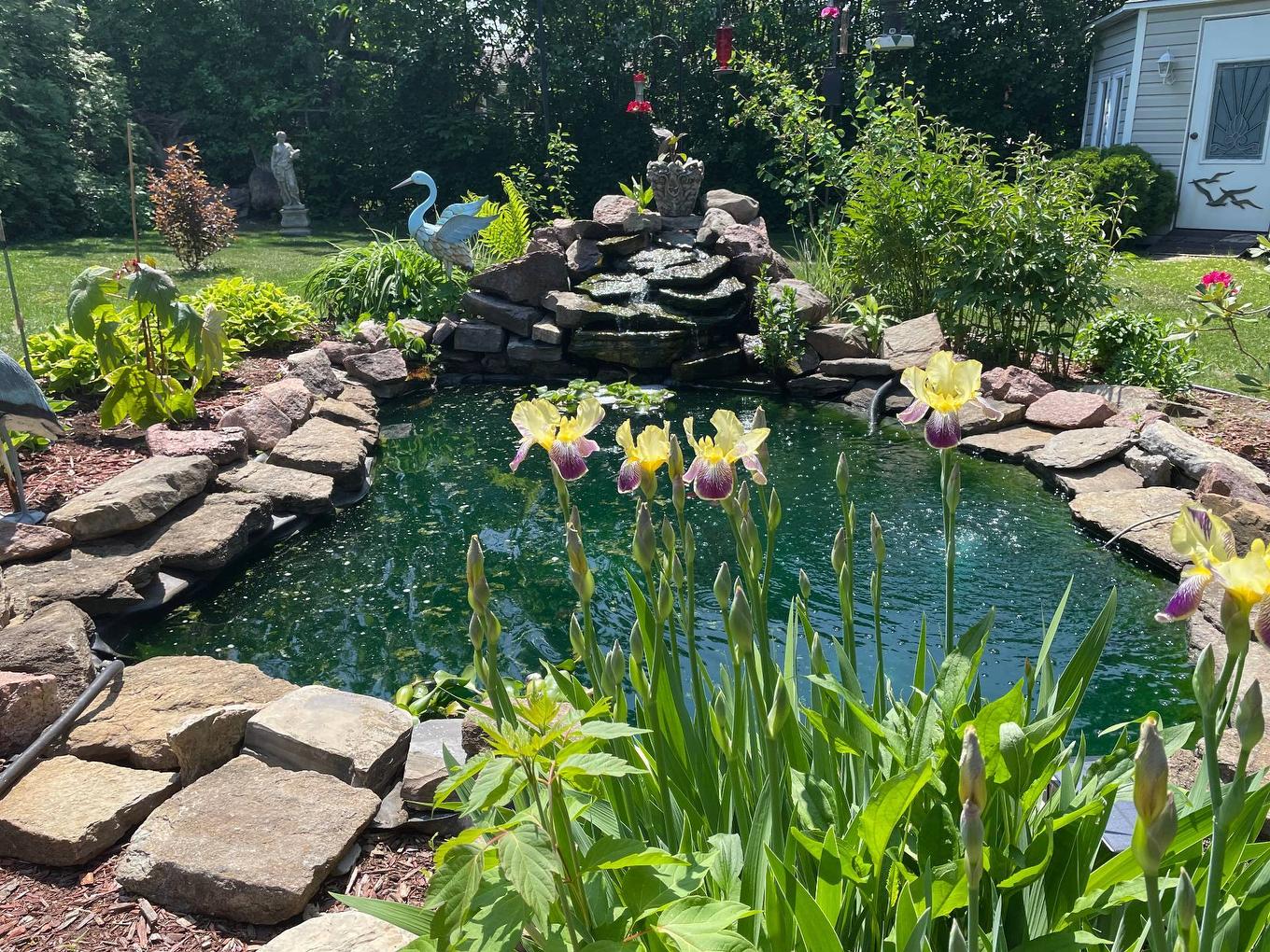 Cour - 4584 Rue Hilltop, Montréal (Pierrefonds-Roxboro), QC - Outdoor