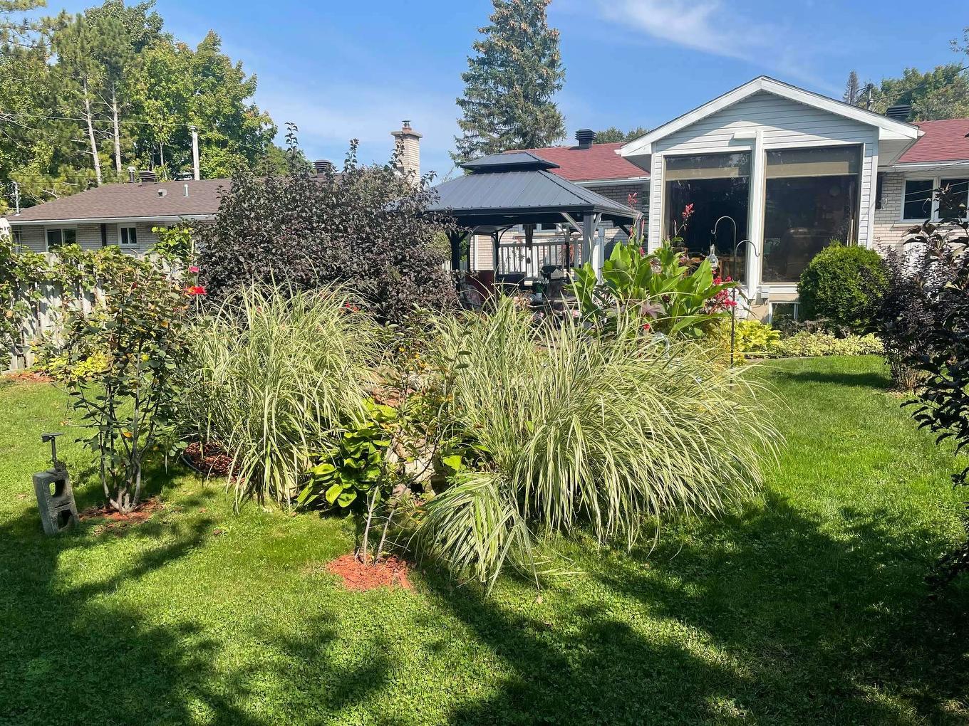 Cour - 4584 Rue Hilltop, Montréal (Pierrefonds-Roxboro), QC - Outdoor