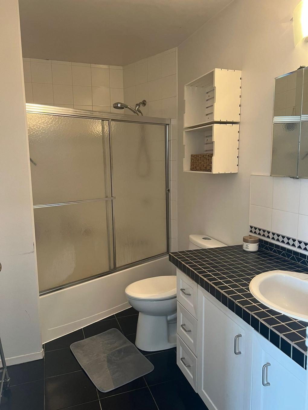 Salle de bains - 186-421 Rue Éricka, Laval (Fabreville), QC - Indoor Photo Showing Bathroom