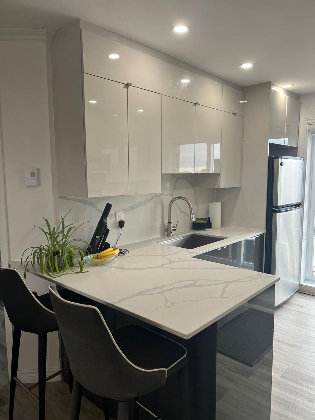 Cuisine - 186-421 Rue Éricka, Laval (Fabreville), QC - Indoor Photo Showing Kitchen With Upgraded Kitchen