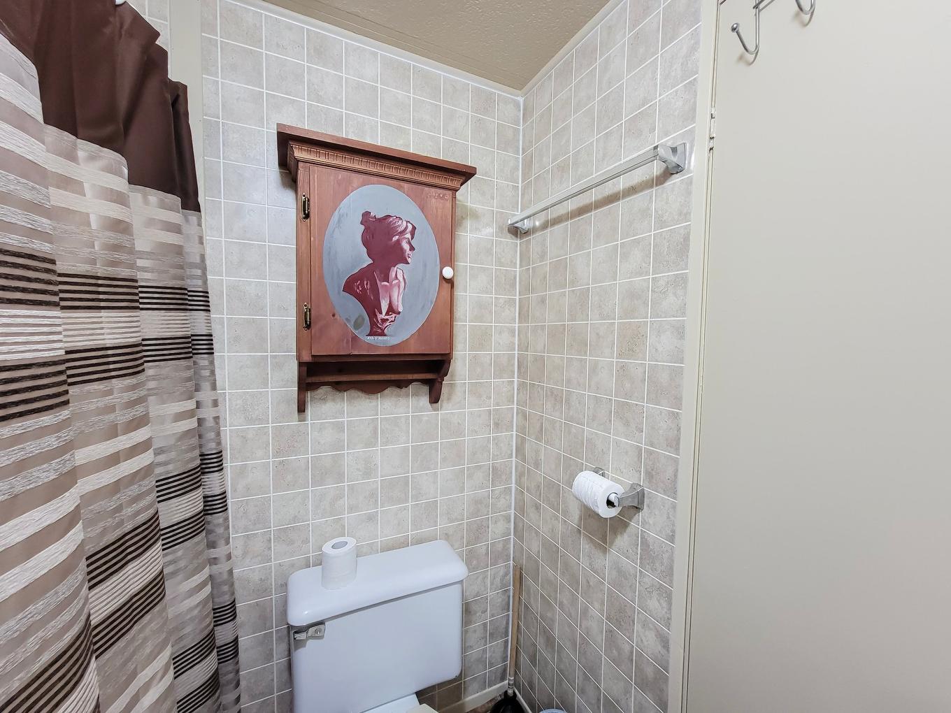 Bathroom - 110 Rue Audrey, Brownsburg-Chatham, QC - Indoor Photo Showing Bathroom