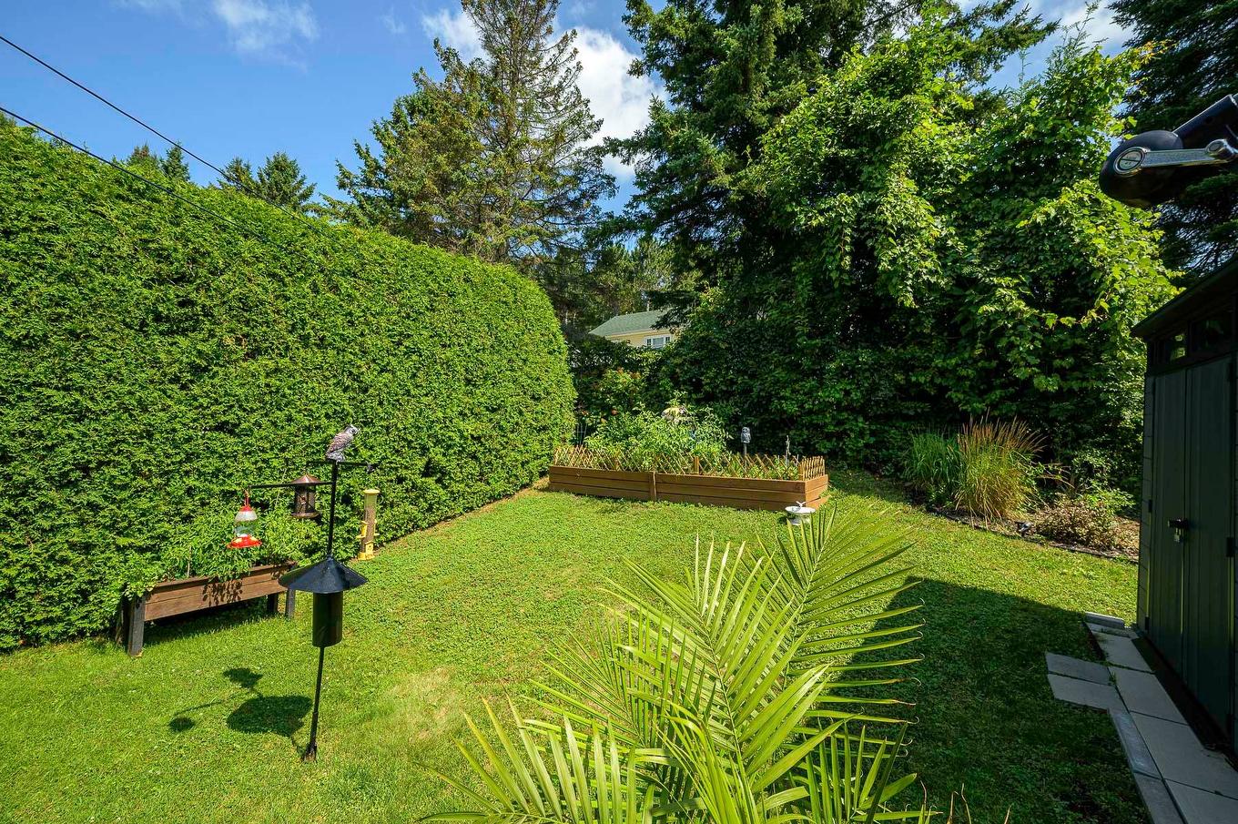 Backyard - 66 Av. Guindon, Saint-Sauveur, QC - Outdoor