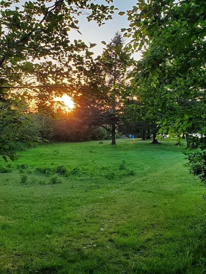 8865 8869 Hwy 101 Highway, Brighton, NS