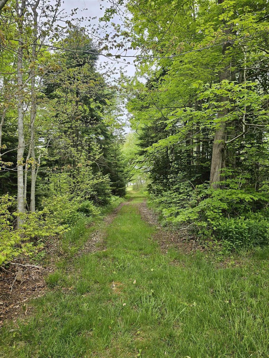 8865 8869 Hwy 101 Highway, Brighton, NS