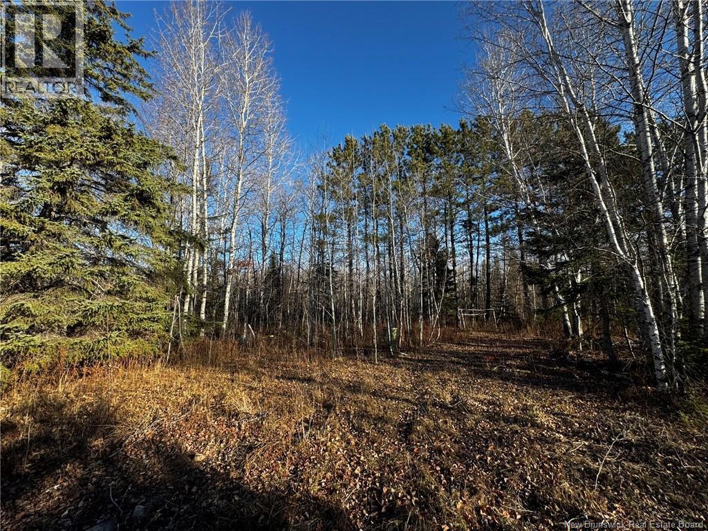 3350 Sqm Hwy 430, Chaplin Island Road, NB