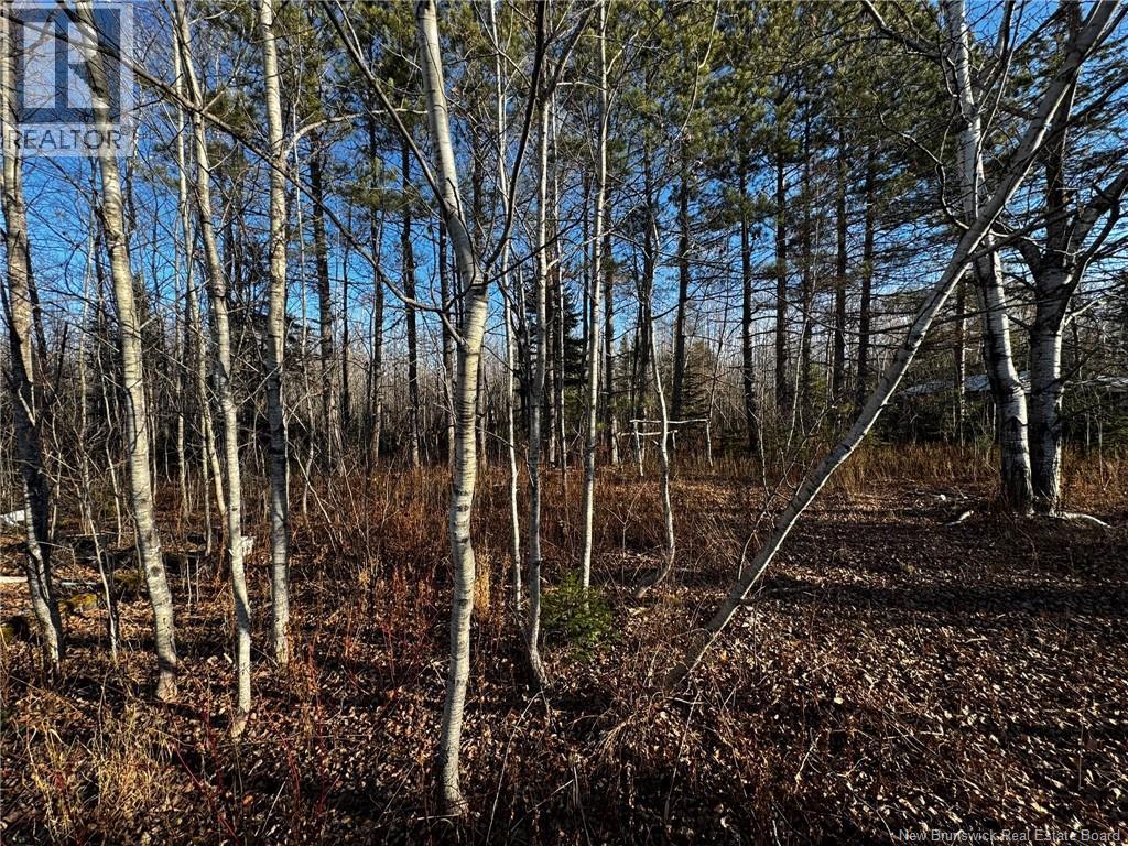 3350 Sqm Hwy 430, Chaplin Island Road, NB