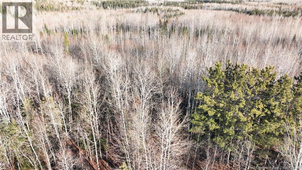 3350 Sqm Hwy 430, Chaplin Island Road, NB